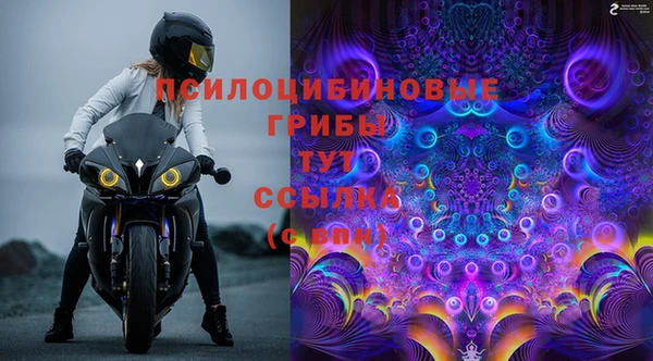 прущий лед Алзамай