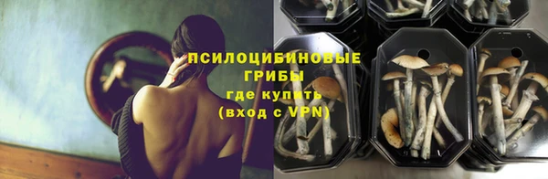 бошки Алексеевка