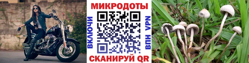 даркнет как зайти  мега ссылки  Опочка  Галлюциногенные грибы GOLDEN TEACHER 