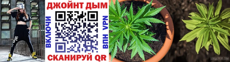 магазин продажи наркотиков  omg зеркало  Шишки марихуана семена  Опочка 